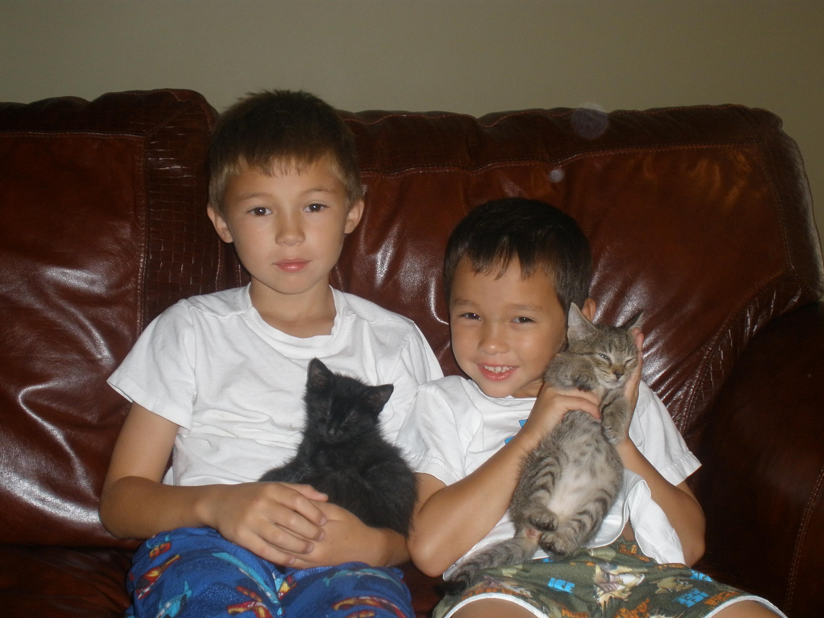 Boys and Cats when they were young